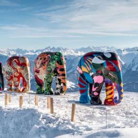 Premiere - Elephantenparade Flims Laax