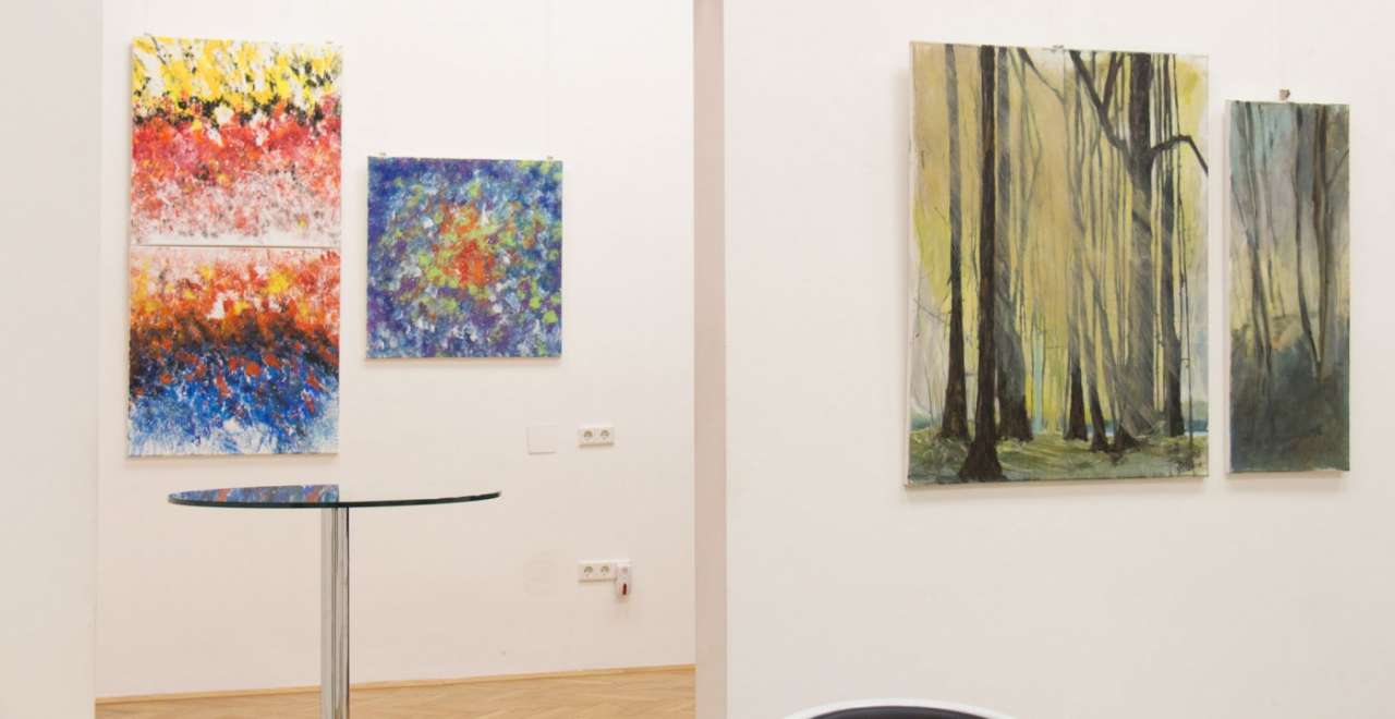 BURN-IN Ausstellung Bewegende Natur 3/2017 | Sonja Dolzer | Josefine Bleich | Isabelle Habegger | Renate Polzer