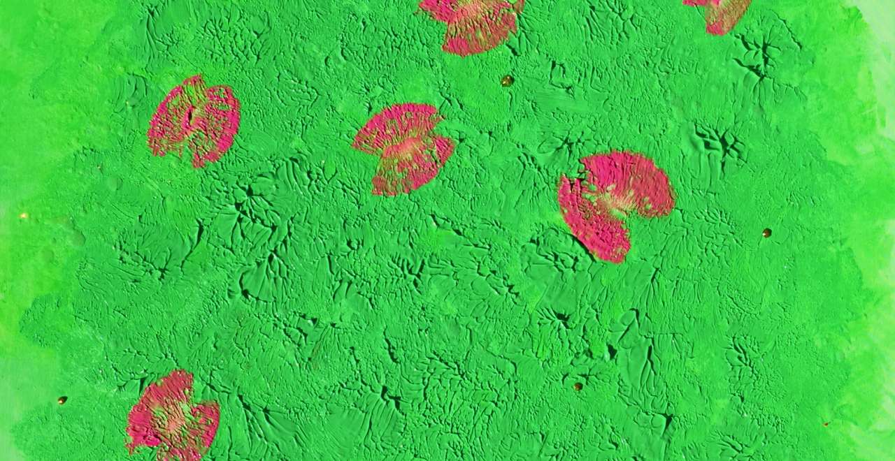 Vom Flow der Persephone & dem Klang der Natur