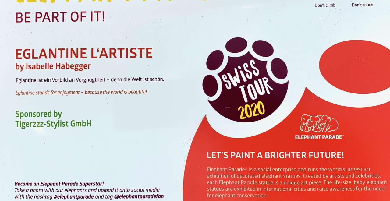 Isabelle Habegger | Elefanenparade