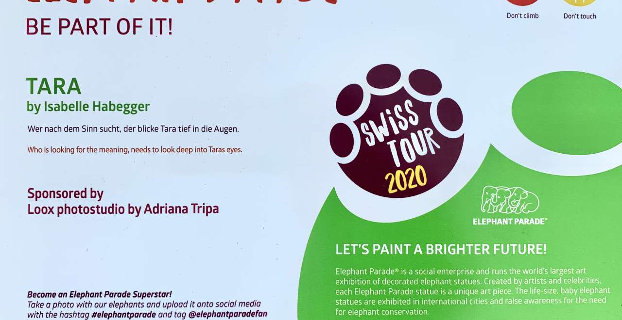 Isabelle Habegger | Elefanenparade