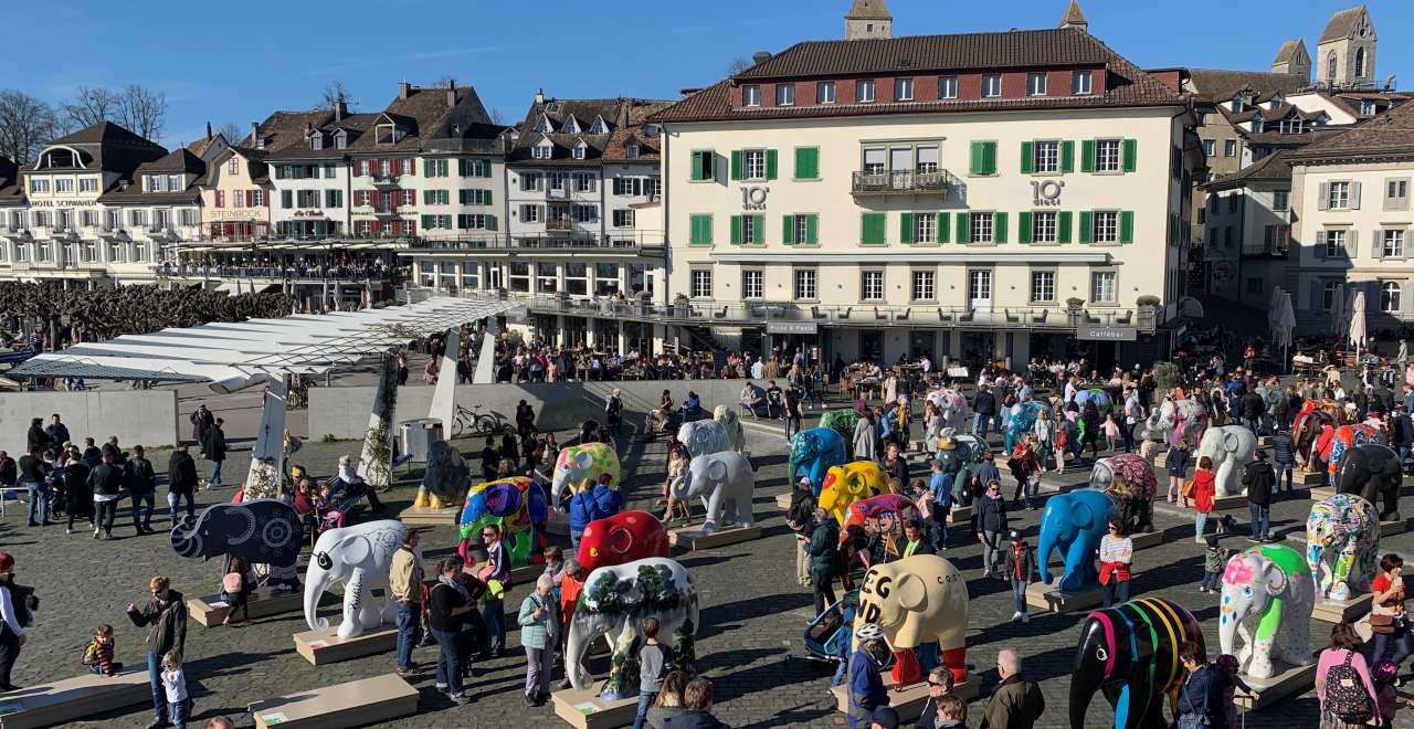 Isabelle Habegger | Elefanenparade