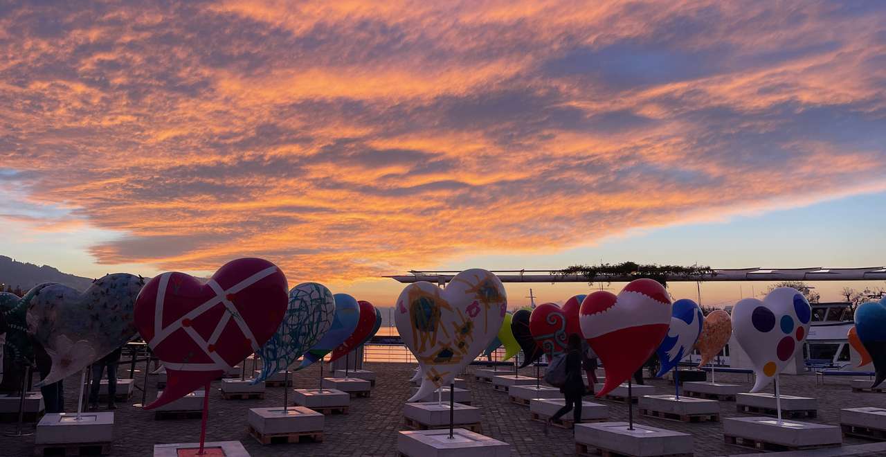 HeartBeats Station Rapperswil Isabelle Habegger