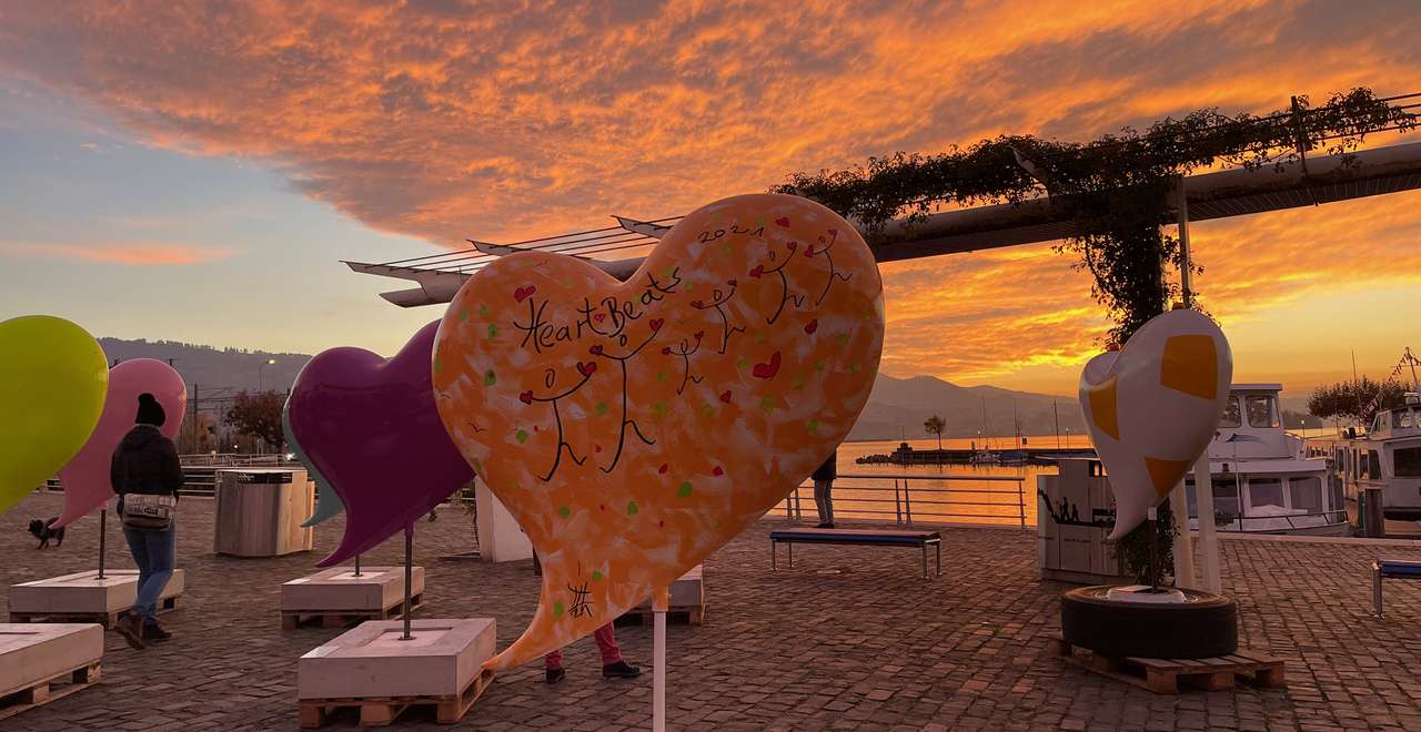 HeartBeats Station Rapperswil Isabelle Habegger